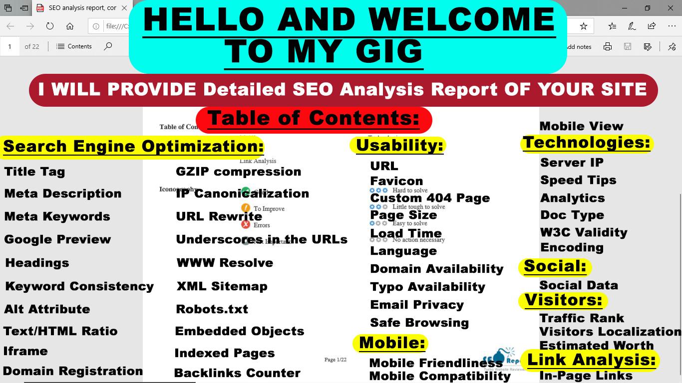 I will provide expert SEO report, competitor website audit, analysis