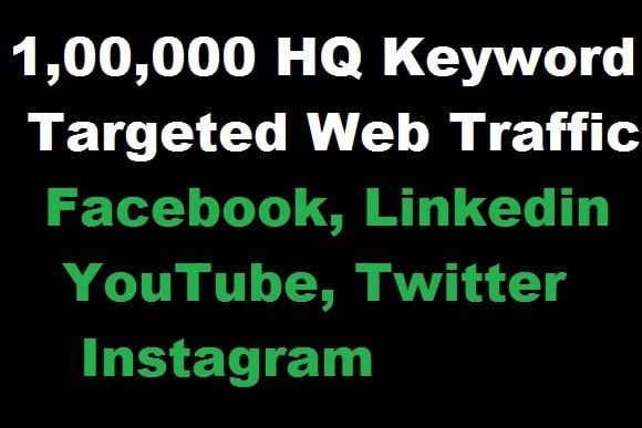 Bring Real 1,00,000 Visitors for 1 month