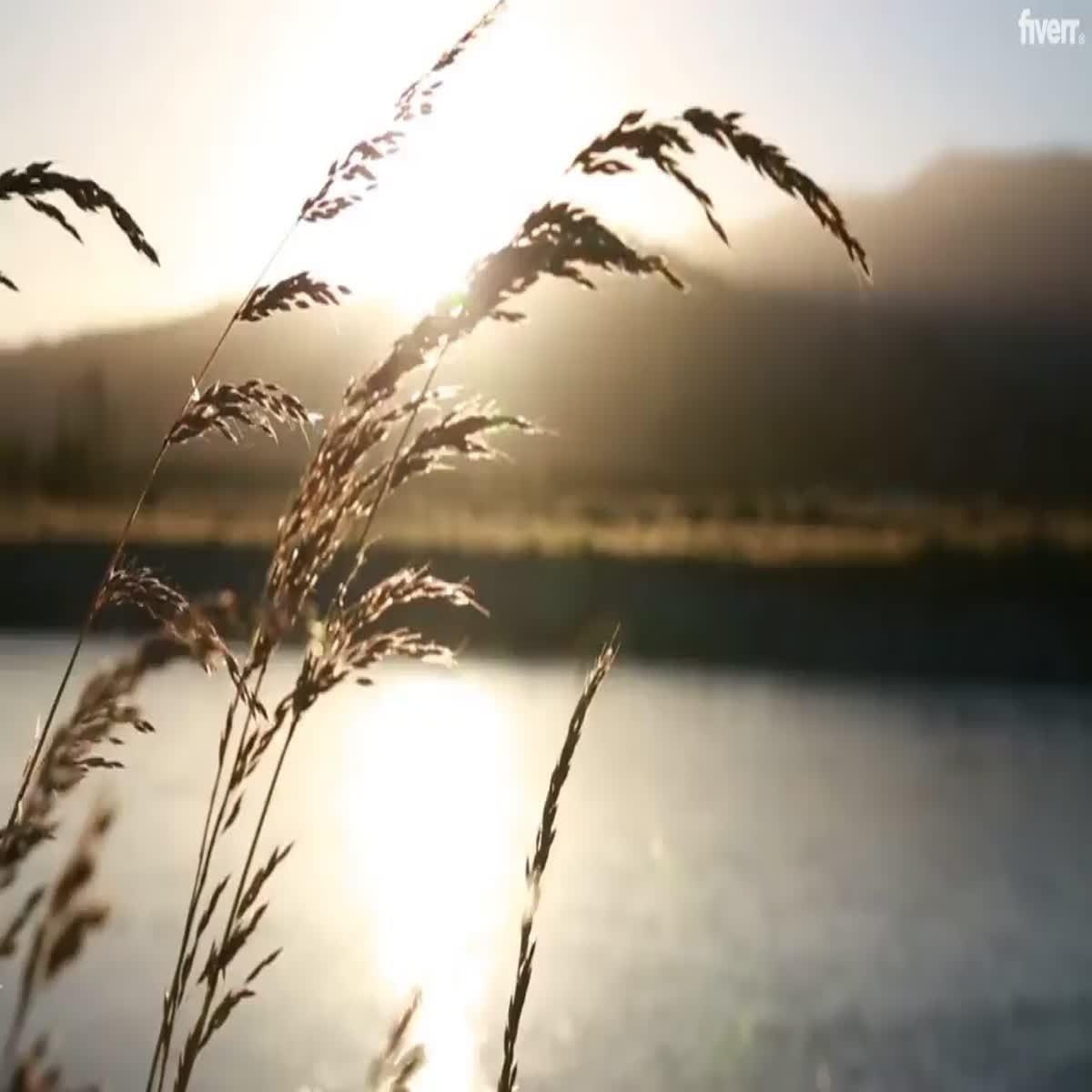 i will add new audio on your video and video editing