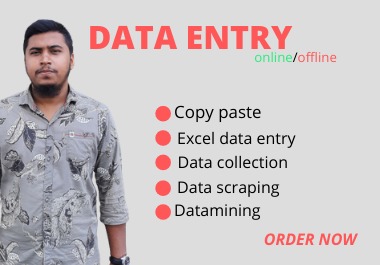 I will do data entry, copy paste, web research, web scraping, data mining and excel data entry