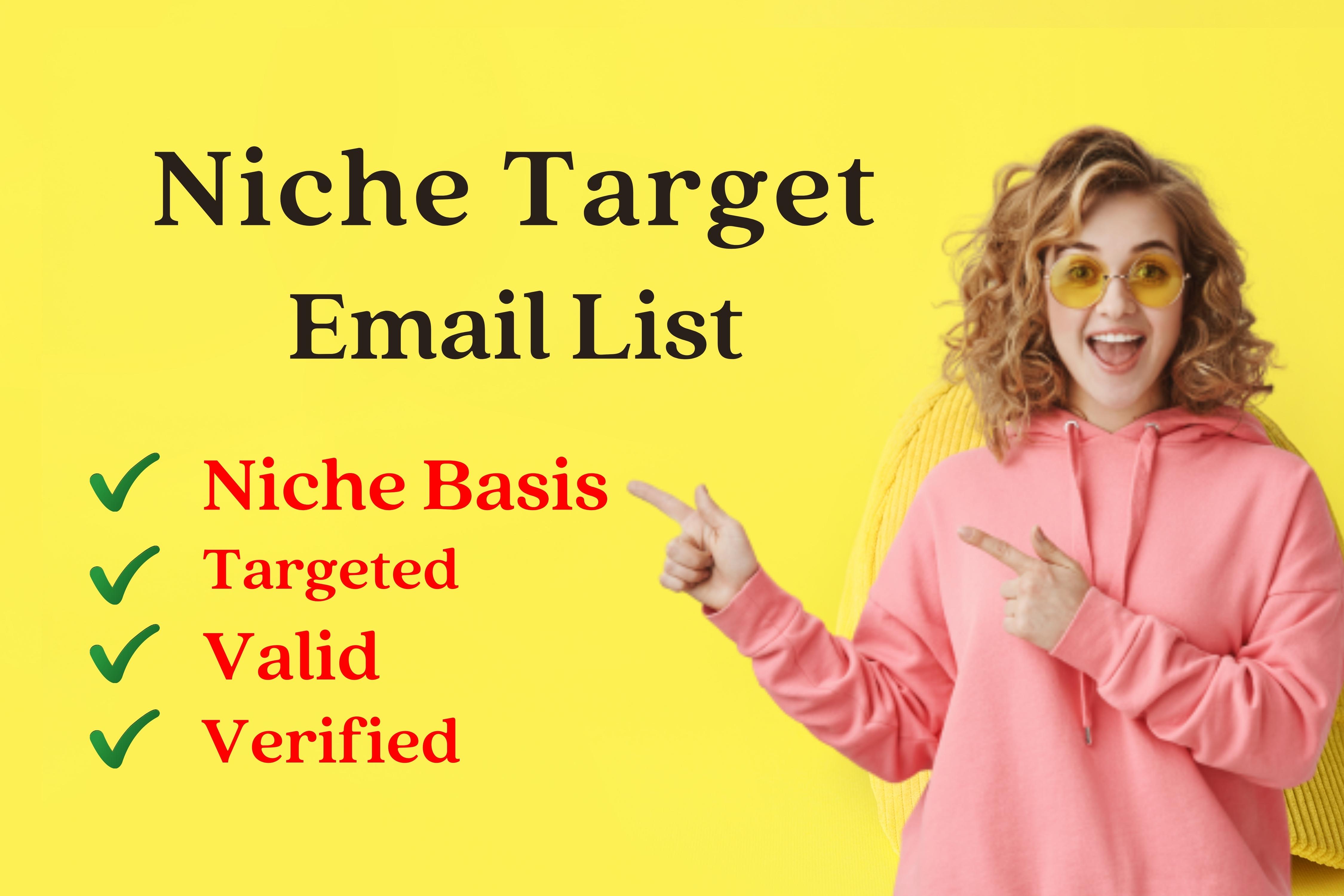 I will provide target city and target niche mail list