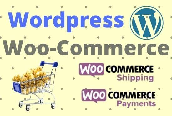 I will develop e commerce website or online store