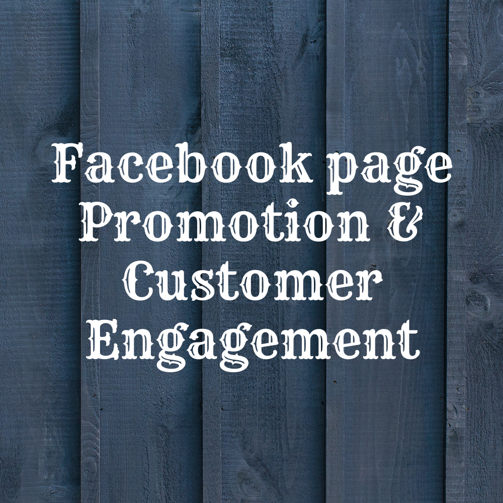 I Will Promote Your Facebook Page To Engage More Customers 