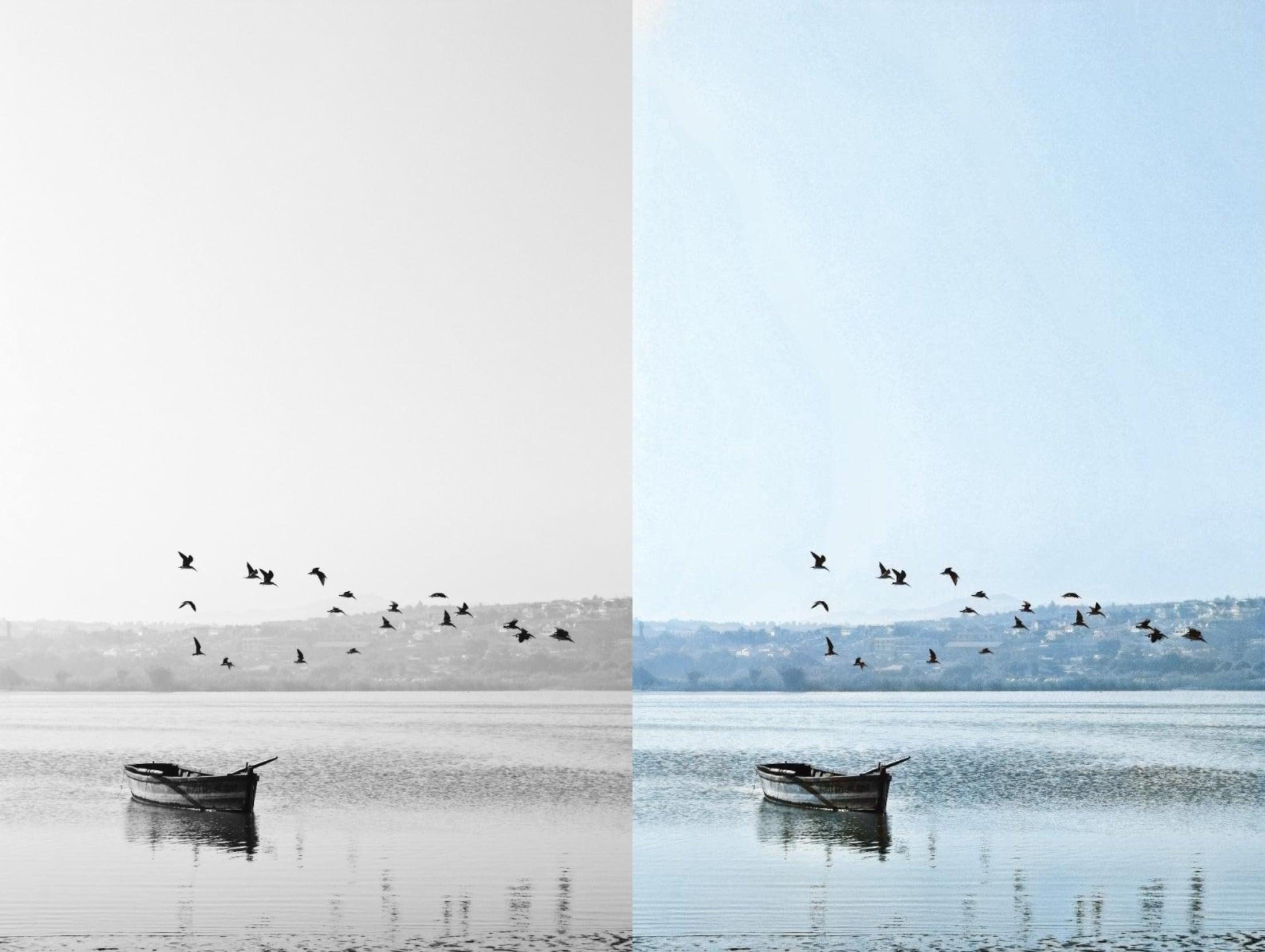 I Will Colourized and restore your Black & White Photos