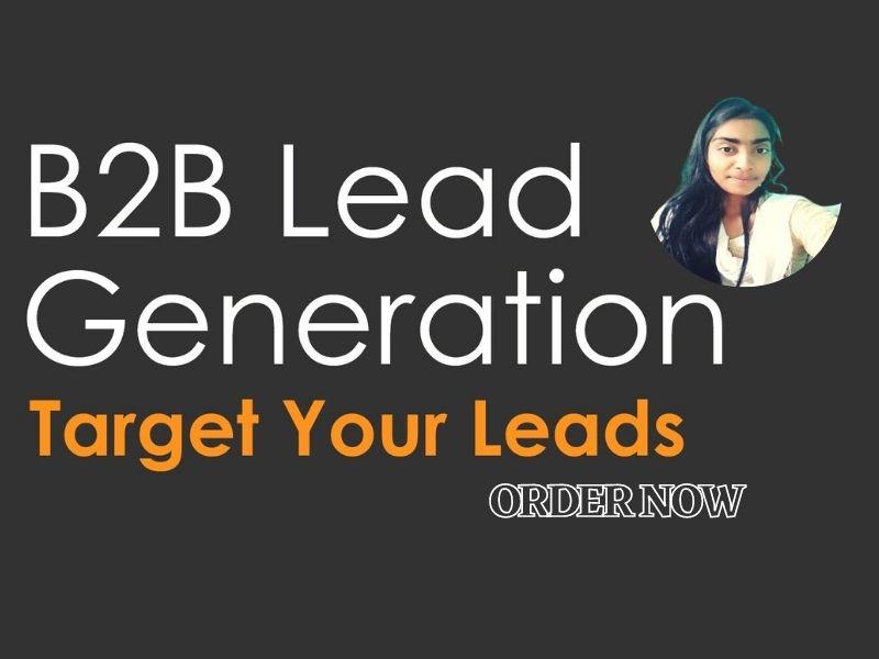 I will do b2b lead generation for your Targeted Niche