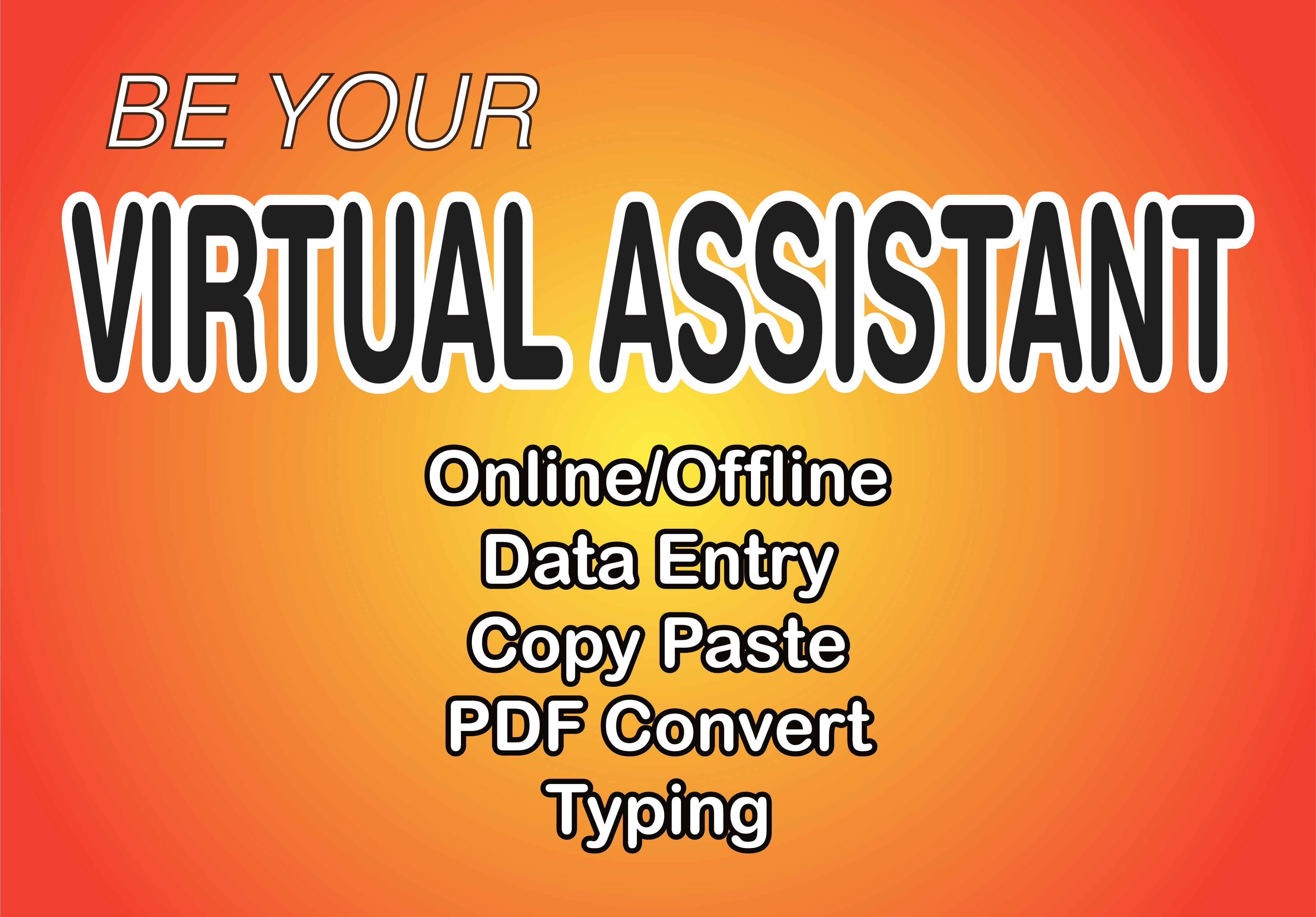 I will be your virtual assistant for data entry and copy paste