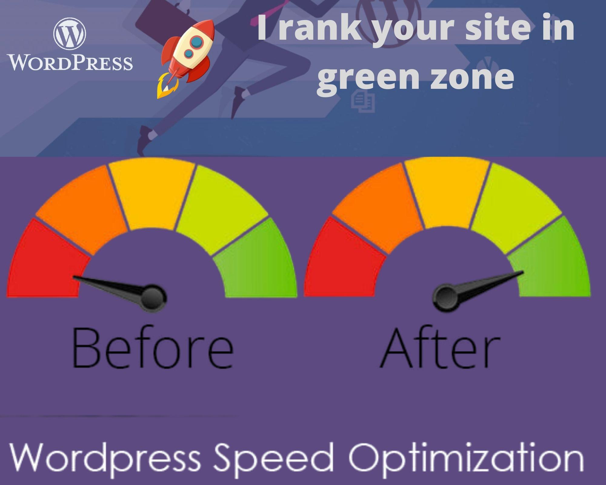 I will do speed up your WordPress website for google page speed 