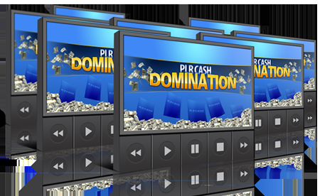PLR Cash Domination - Learn To Build Your Own PLR Products