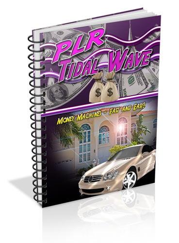 PLR Tidal Wave - Money Machines Fast And Easy