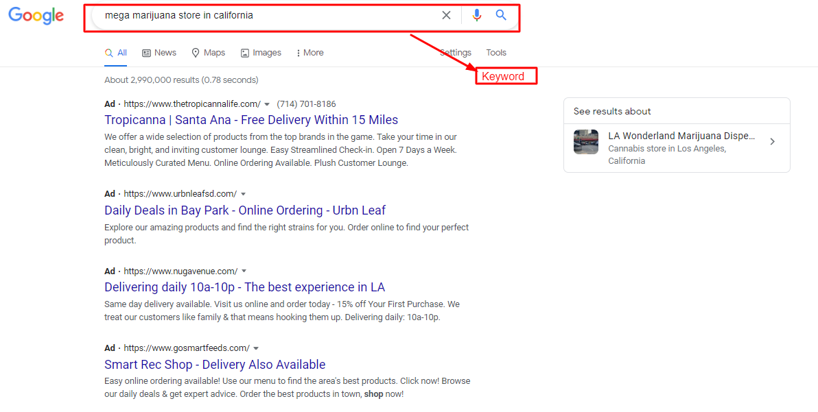I Will Complete WordPress Yoast SEO On-Page Optimize With Schema Markup