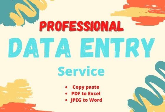 I will be your virtual assistant for data entry, copy paste