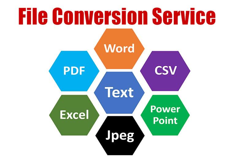 I will file conversion PDF to excel or PDF word professionally