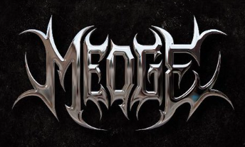  I will do best logo design 2020 in 12 hours