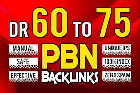 Get 5 DR 60+ Permanent Homepage PBN Backlink