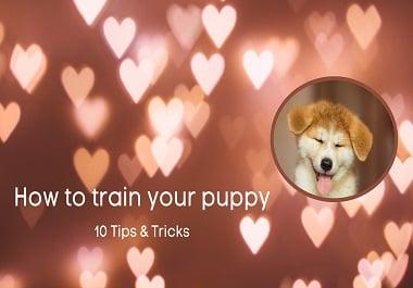 I will create Thumbnail for your YouTube videos