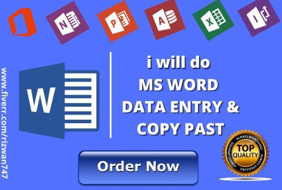 I will do ms word data entry, copy paste
