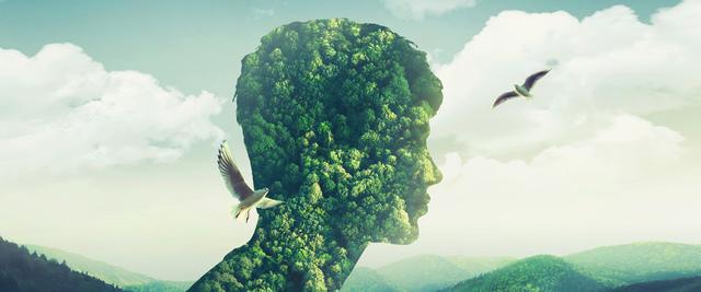 I will do amazing photo restoration and enhancing