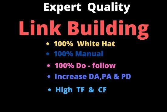I will do 70 Link Building in High Da sites,Backlinks.