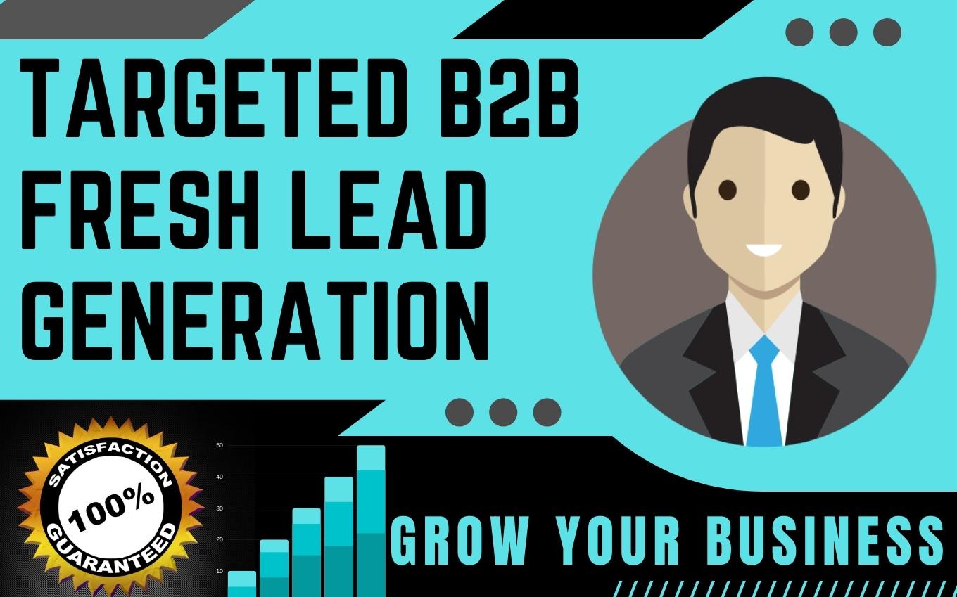 I will do verified B2B LinkedIn Lead Generation