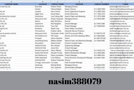 I can give you valid leads data entry of your niche guaranteed lead generation