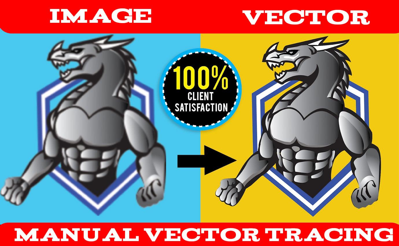 i will do vector tracing , vectorize, recreate image, image to vector 