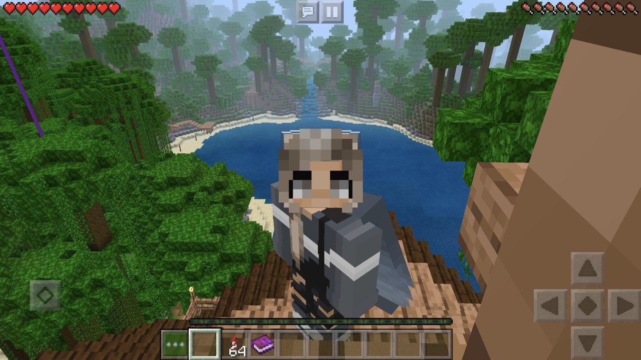 I will help you with Minecraft