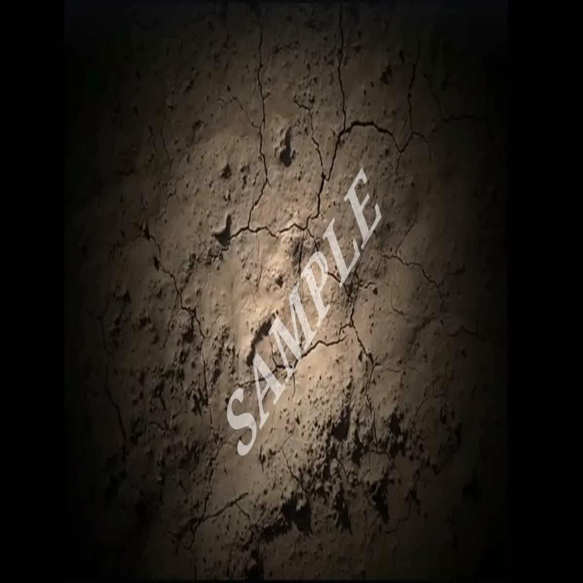  LOGOs Intros for Business Company or SocialMedia