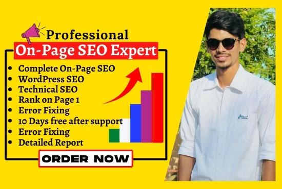Complete WordPress On Page SEO and Technical SEO to rank website on the first page for 5 pages