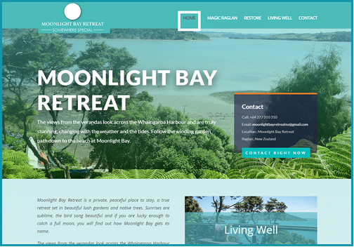 I will Design your best website 