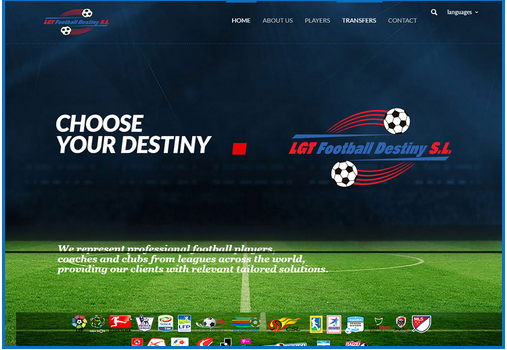 I will Design your best website 