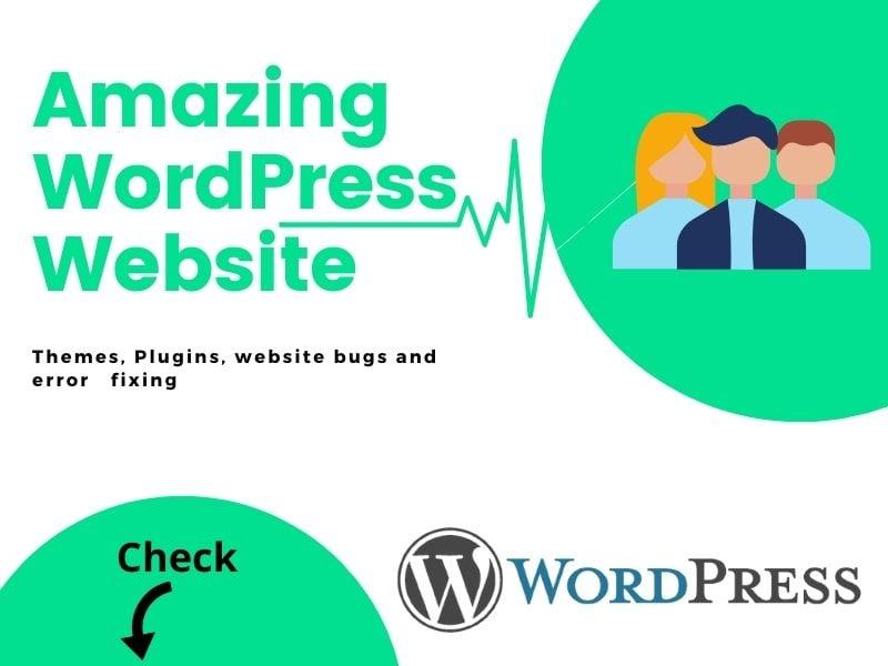 I will make any types of a professional website using WordPress