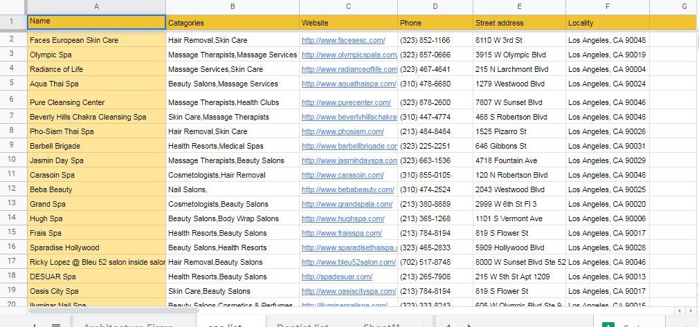 I will be your professional and dedicated virtual Assistant 