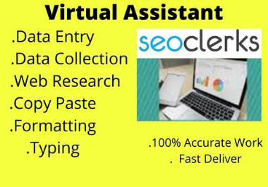 I will do data entry, web research, find business email and contacts