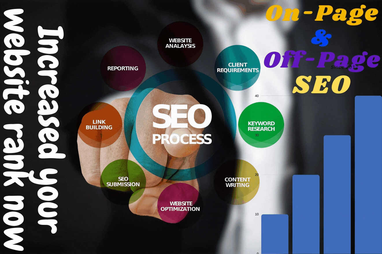 Social Media Marketing SMM & SEO and increased traffic on your website
