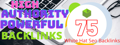 I will do unique domain SEO backlinks 75 on da100 tf100 sites