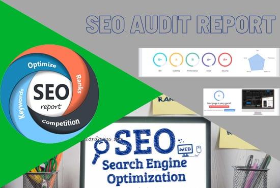 analysis and provide a professional web SEO audit report