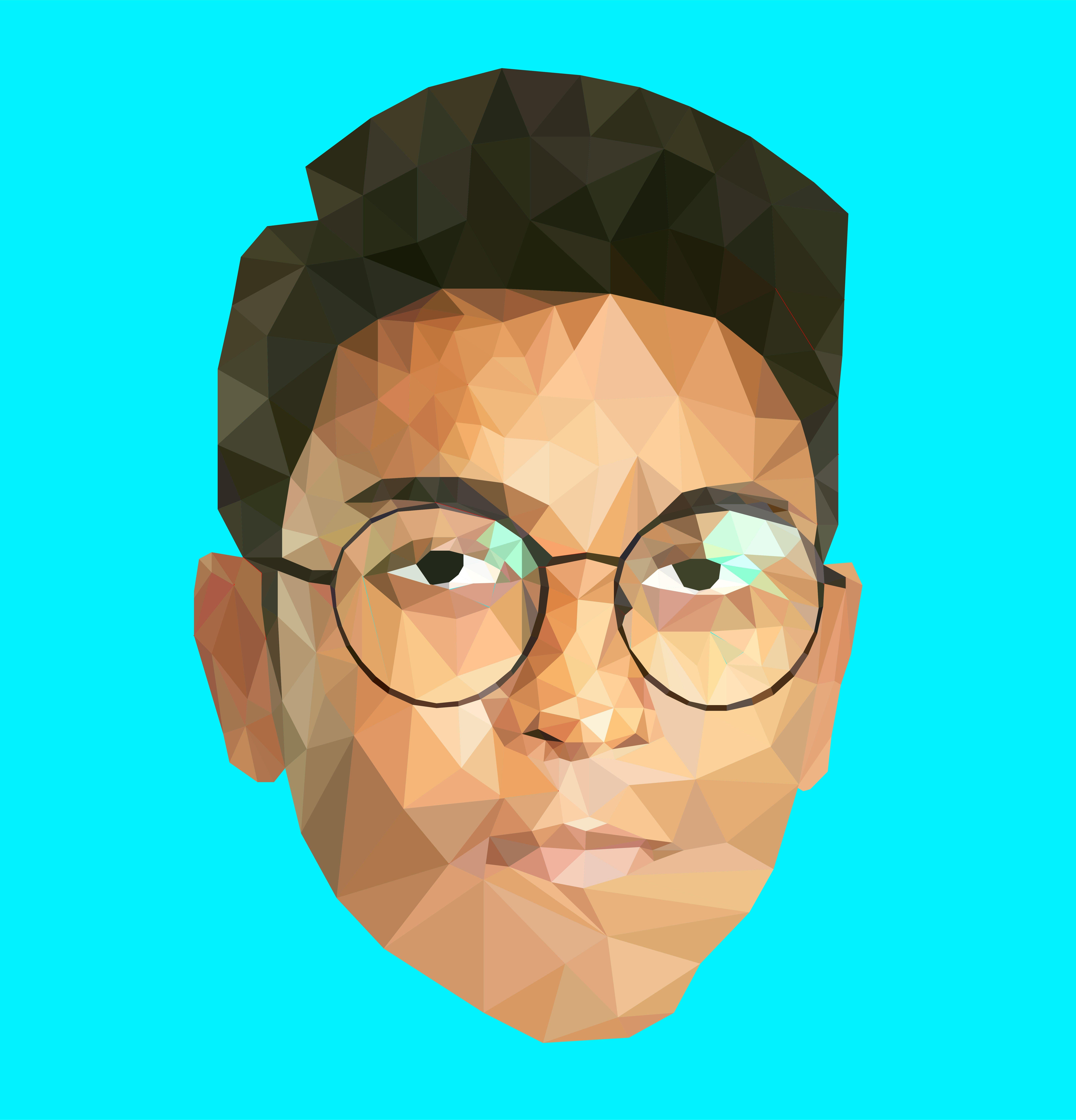 I will do low poly art/portrait of any image