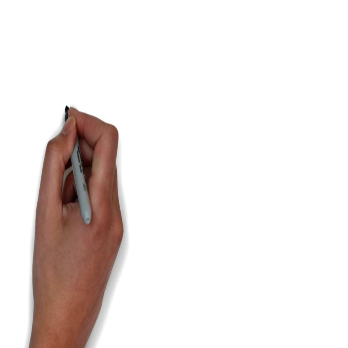 I will create whiteboard animation video with voiceover