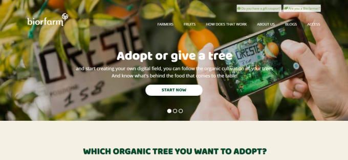 I will install WordPress Premium Divi Theme and Plugins with API key and Username