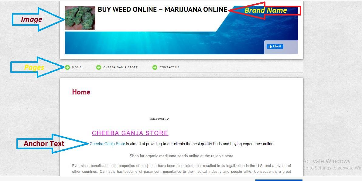 2021 Latest google algorithm for 20 HQ Web2.0 dofollow backlinks