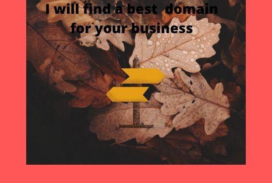 I will find a best domain for your business 