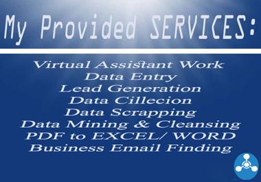 I will do offline and online data entry