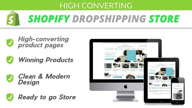 I will Create High Converting Shopify Dropshipping Store, Shopify website