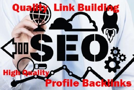 I will 50 SEO profile backlinks white hat manual links building