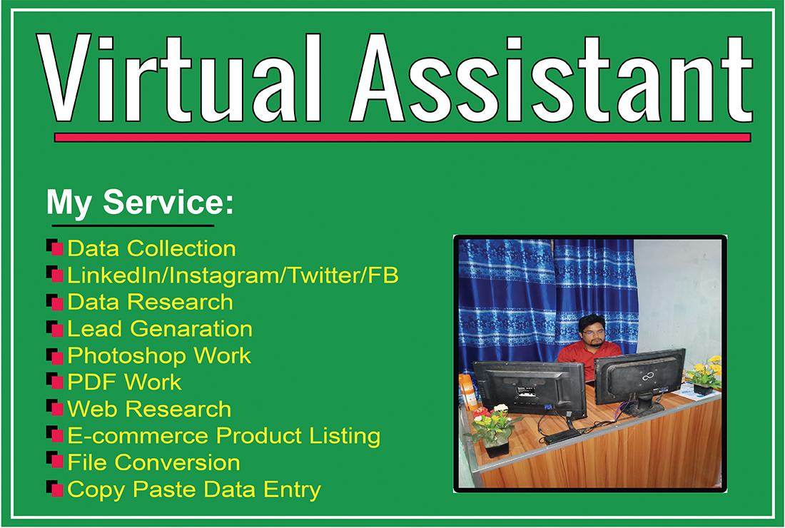 I will be your virtual assistant and do data entry, web research