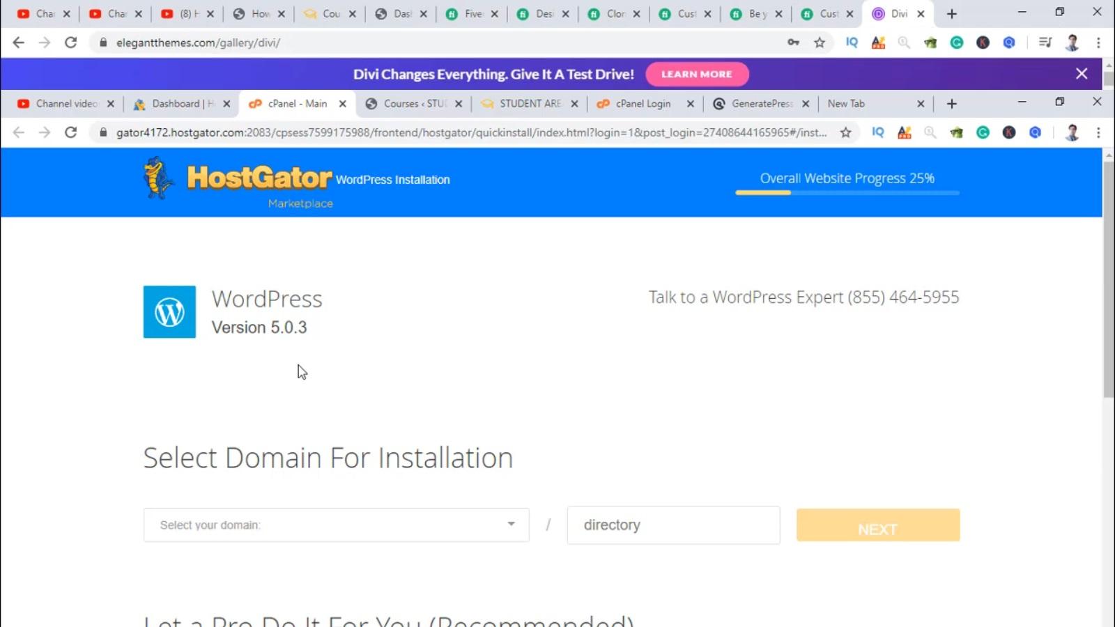 I will do WordPress Website Designing