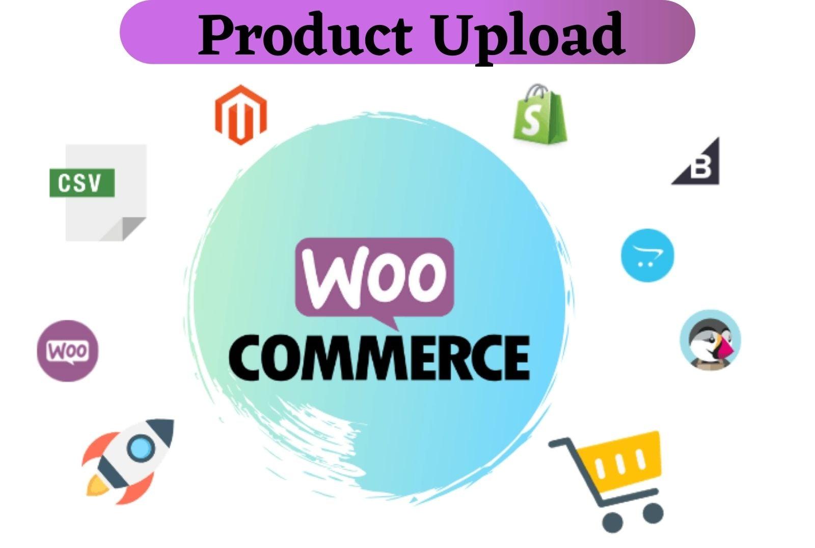 I will built a woocommerce website with multivendor functionality