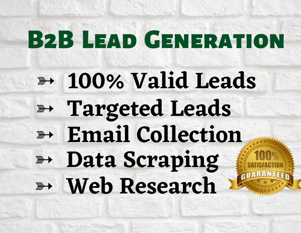 I will do any kind of Lead Generation, Web Research, Email List Building etc! 