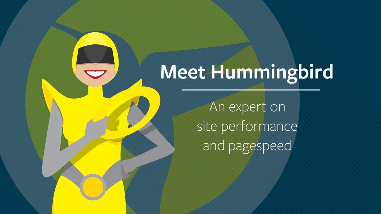 WPMU DEV Hummingbird Pro Current Version: 2.7.2