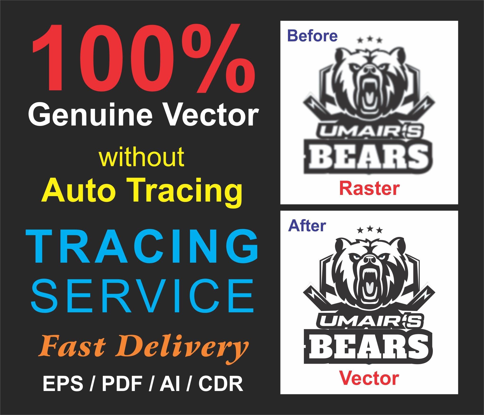 I will redraw, tracing, logo redraw, raster to vector, modify